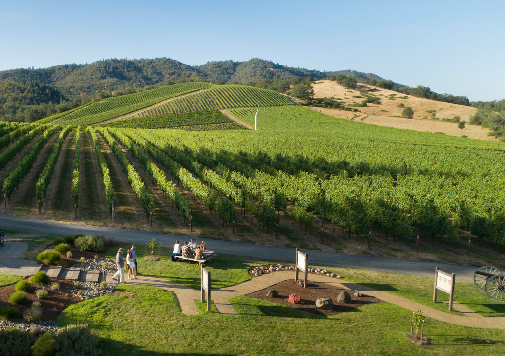 Abacela Winery | restaurant | 12500 Lookingglass Rd, Roseburg, OR 97471, USA | 5416796642 OR +1 541-679-6642