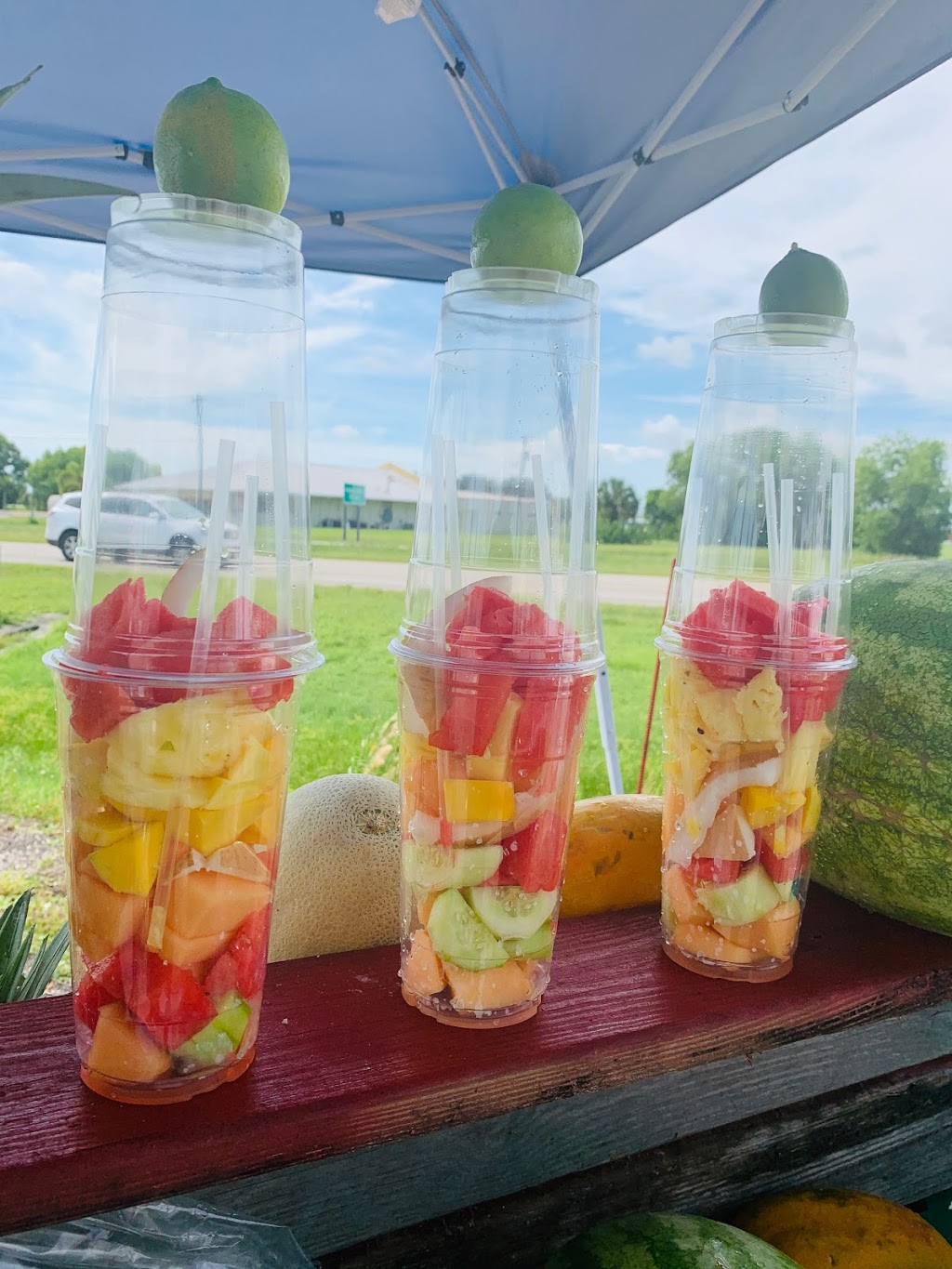 Los Taquitos C.C. | restaurant | 1044 NE Pine Island Rd, Cape Coral, FL 33909, USA | 2392223247 OR +1 239-222-3247