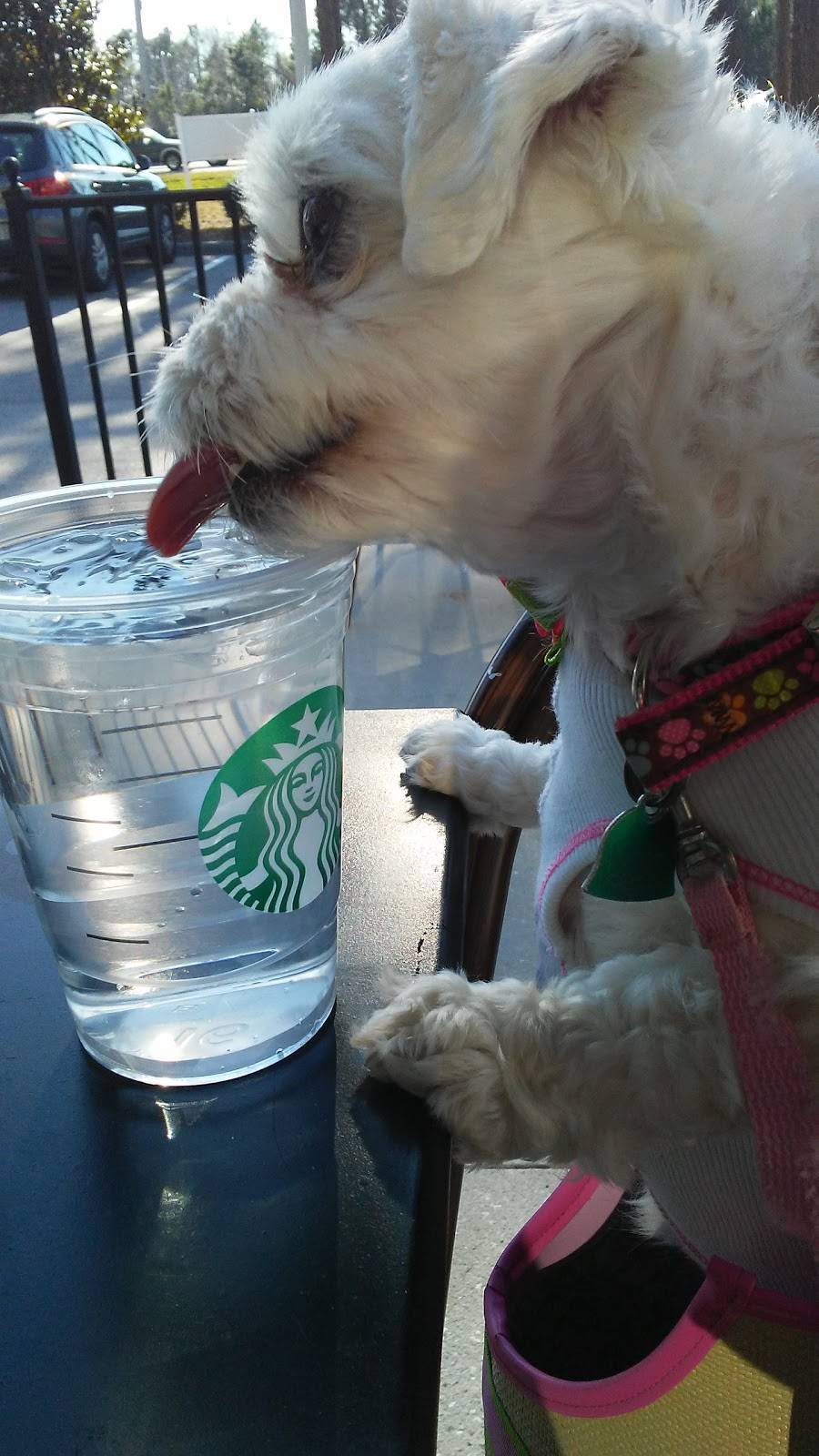 Starbucks | cafe | 155 Palencia Village Dr #101, St. Augustine, FL 32095, USA | 9048105503 OR +1 904-810-5503