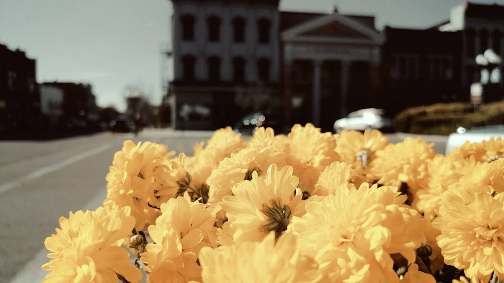 FullBrooks Cafe | cafe | 6 Public Square, Nelsonville, OH 45764, USA | 7407533391 OR +1 740-753-3391