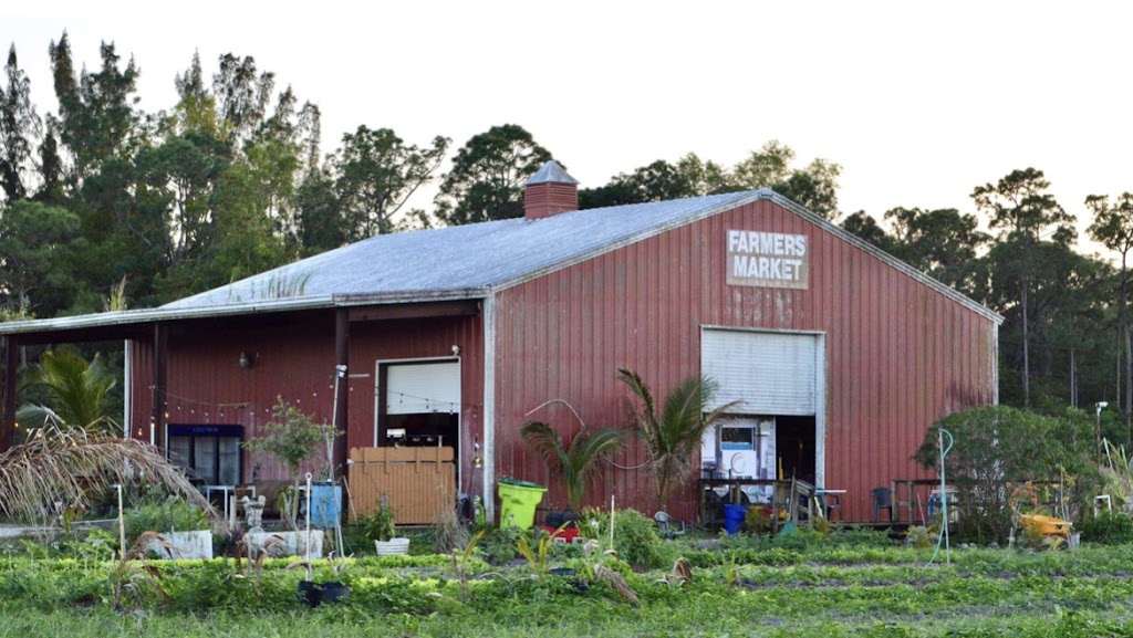 The Vegan Restaurants | restaurant | 15550 Okeechobee Blvd, Loxahatchee, FL 33470, USA | 5617168077 OR +1 561-716-8077