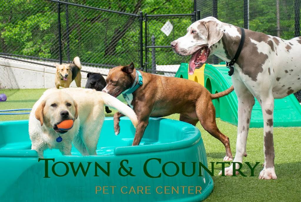 Town and Country Pet Care Center | restaurant | 393 Langhorne Ave, Langhorne, PA 19053, USA | 2157523661 OR +1 215-752-3661