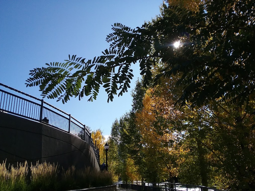 China Cafe | restaurant | 1525 Main Ave, Durango, CO 81301, USA | 9702590868 OR +1 970-259-0868