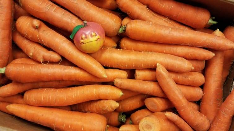 White Wind Superfoods | restaurant | 252 SW Madison Ave #100, Corvallis, OR 97333, USA | 5412073251 OR +1 541-207-3251