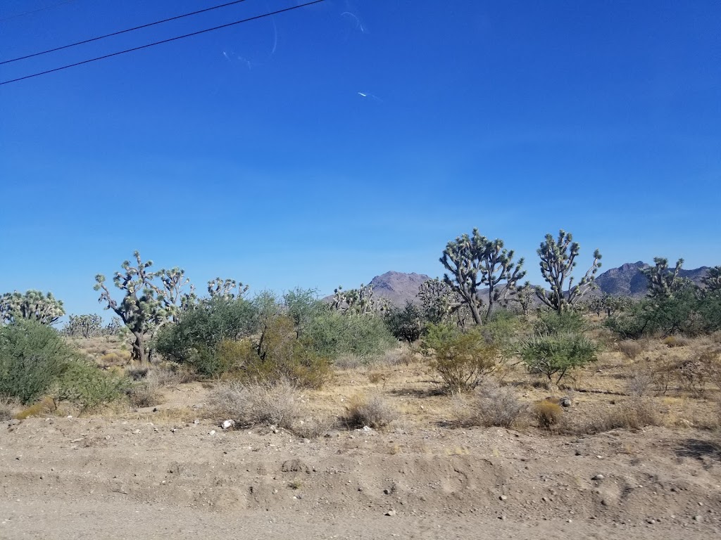 Canyon Cafe | restaurant | 16064 Pierce Ferry Rd, Dolan Springs, AZ 86441, USA | 9287673838 OR +1 928-767-3838