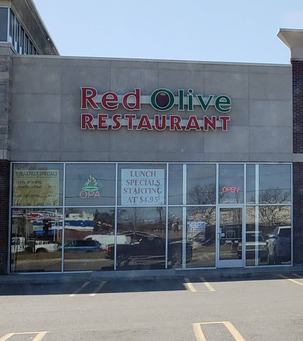 Red Olive Restaurant - Southfield | restaurant | 29047 Southfield Rd, Southfield, MI 48076, USA | 2482627251 OR +1 248-262-7251