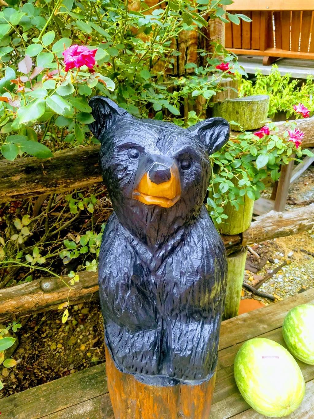 The Outpost | restaurant | 2175 TN-128, Savannah, TN 38372, USA | 7319256990 OR +1 731-925-6990