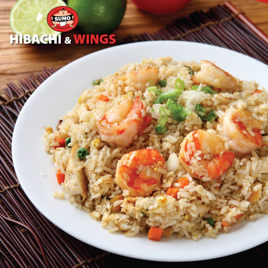 Sumo Hibachi and Wings | restaurant | 3265 Sardis Church Rd Suite 103, Buford, GA 30519, USA | 6789263662 OR +1 678-926-3662