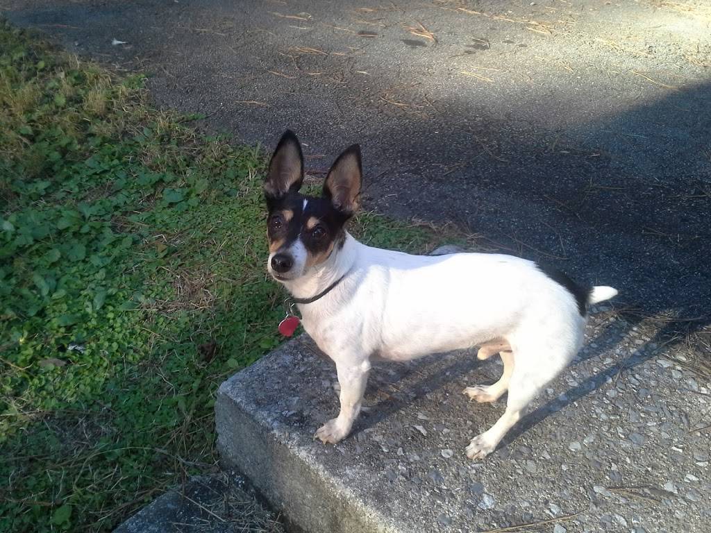 Dairy Queen Grill & Chill | restaurant | 919 Joe Frank Harris Pkwy SE, Cartersville, GA 30120, USA | 7703825806 OR +1 770-382-5806