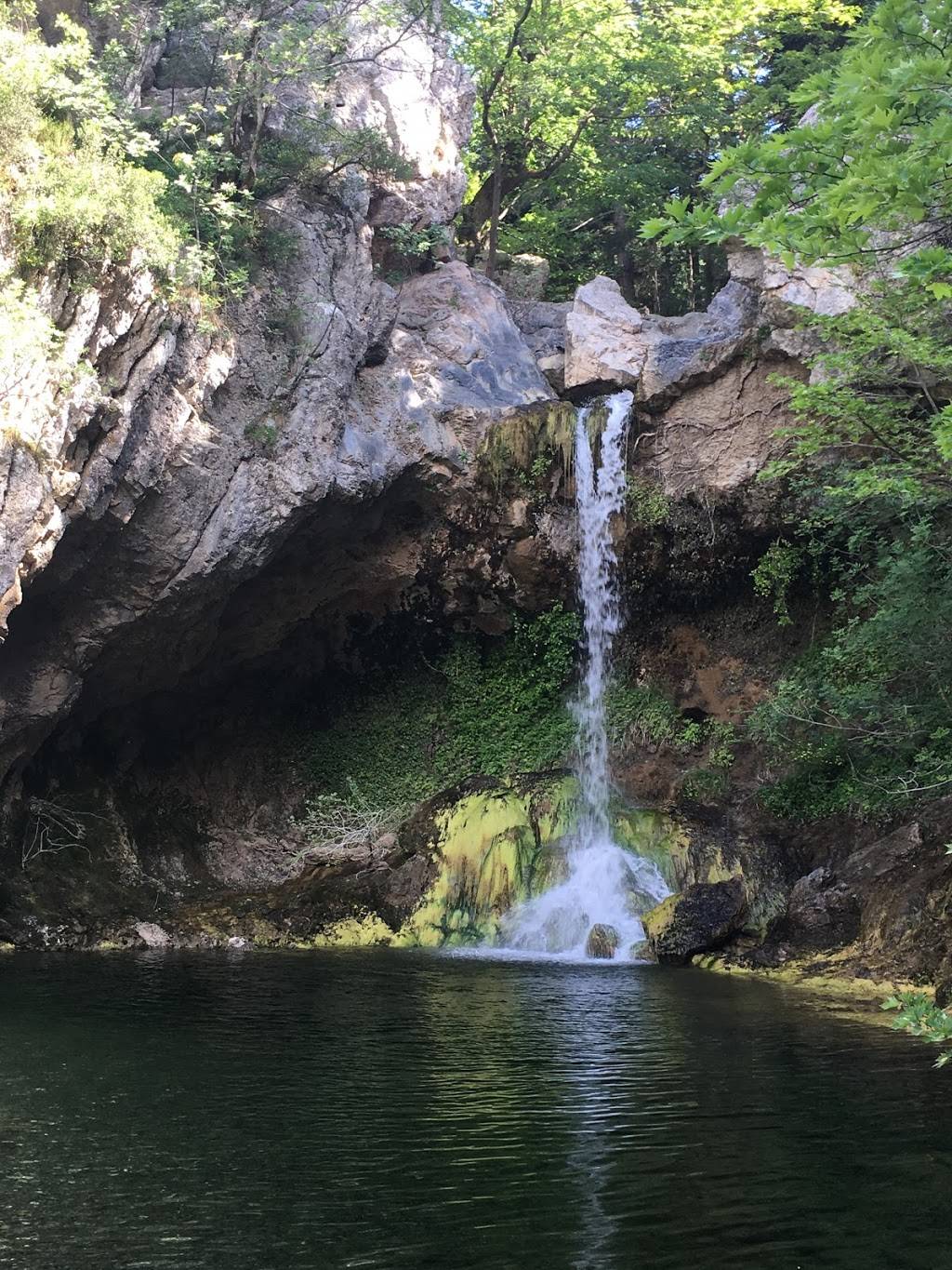 Starbucks | cafe | 3232 Lake Ave #8, Wilmette, IL 60091, USA | 8472569157 OR +1 847-256-9157