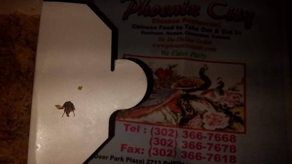 Phoenix City | restaurant | 2713 Pulaski Hwy, Newark, DE 19702, USA | 3023667668 OR +1 302-366-7668