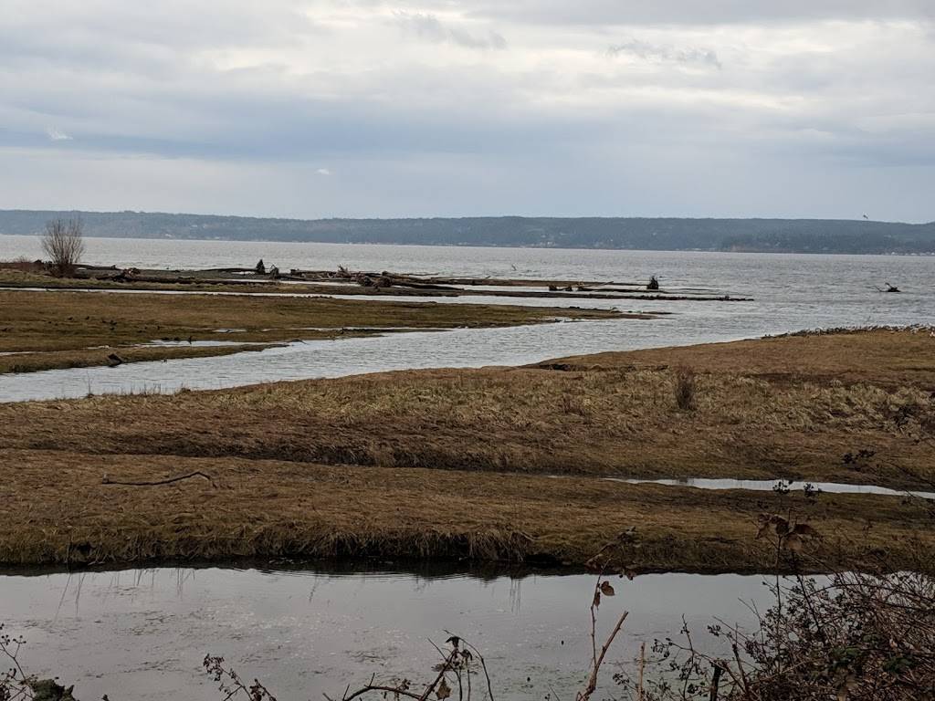 Geoduck Family Restaurant | night club | 307103 US-101, Brinnon, WA 98320, USA | 3607964430 OR +1 360-796-4430