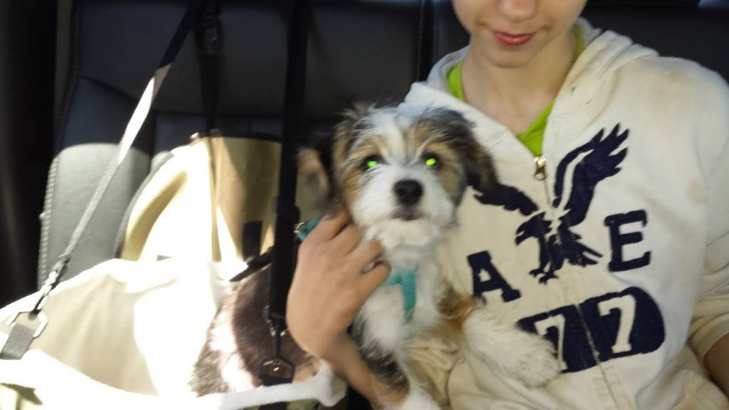 Subway | restaurant | 1101 SC-86, Piedmont, SC 29673, USA | 8648450505 OR +1 864-845-0505