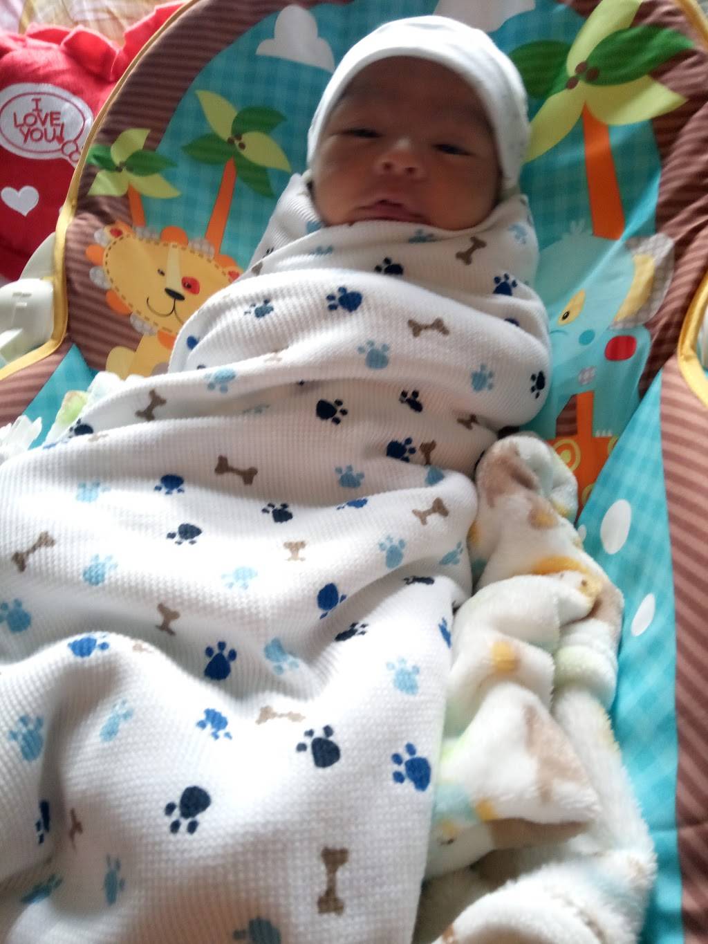 Big Daddys Pizza | meal delivery | 68 Lorraine St, Brooklyn, NY 11231, USA | 7187979100 OR +1 718-797-9100