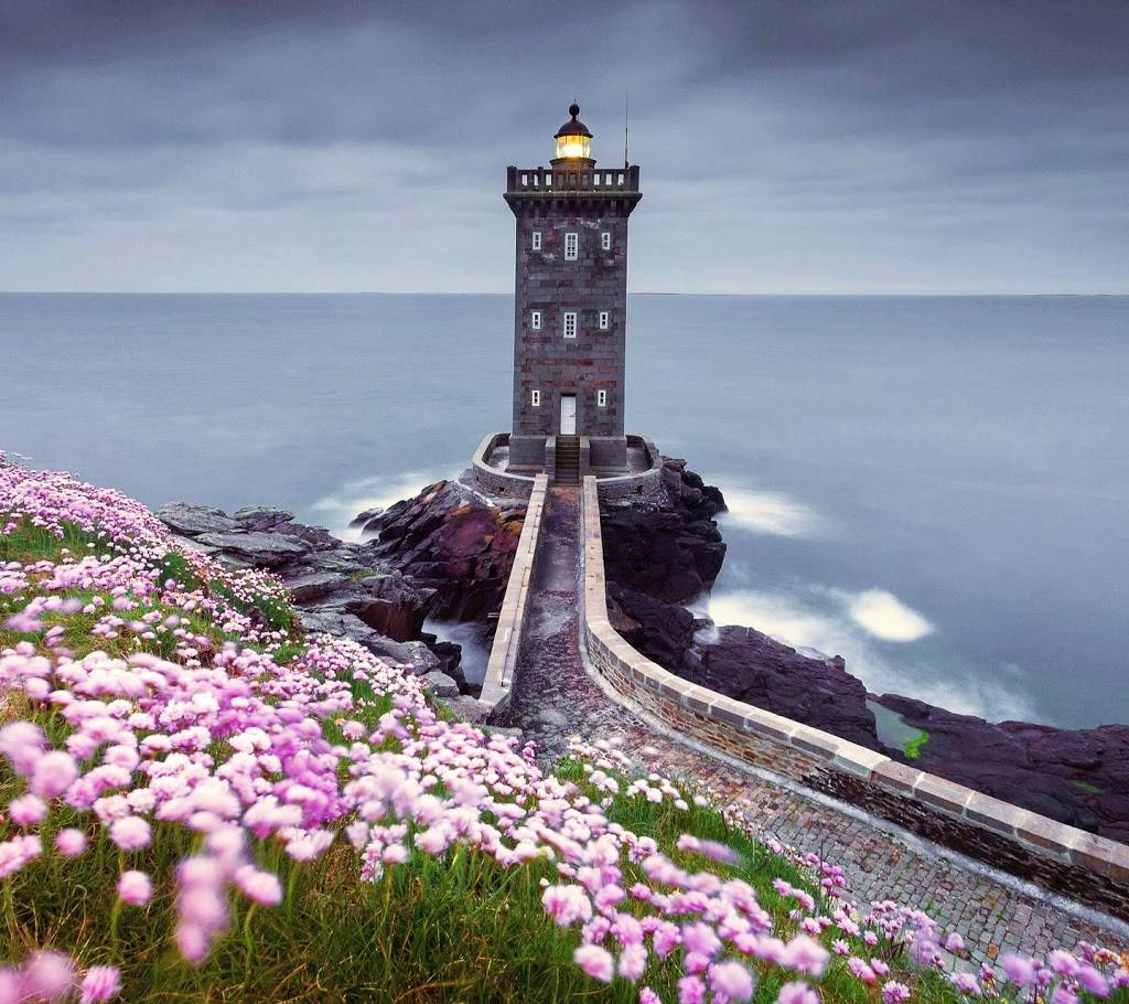 Papa Johns Pizza | restaurant | 1489 Palm Coast Pkwy NW Ste 1, Palm Coast, FL 32137, USA | 3864462323 OR +1 386-446-2323