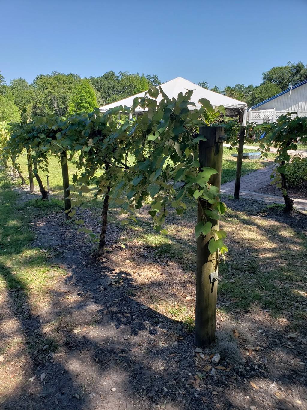 Keel Farms | restaurant | 5210 Thonotosassa Rd, Plant City, FL 33565, USA | 8137523892 OR +1 813-752-3892