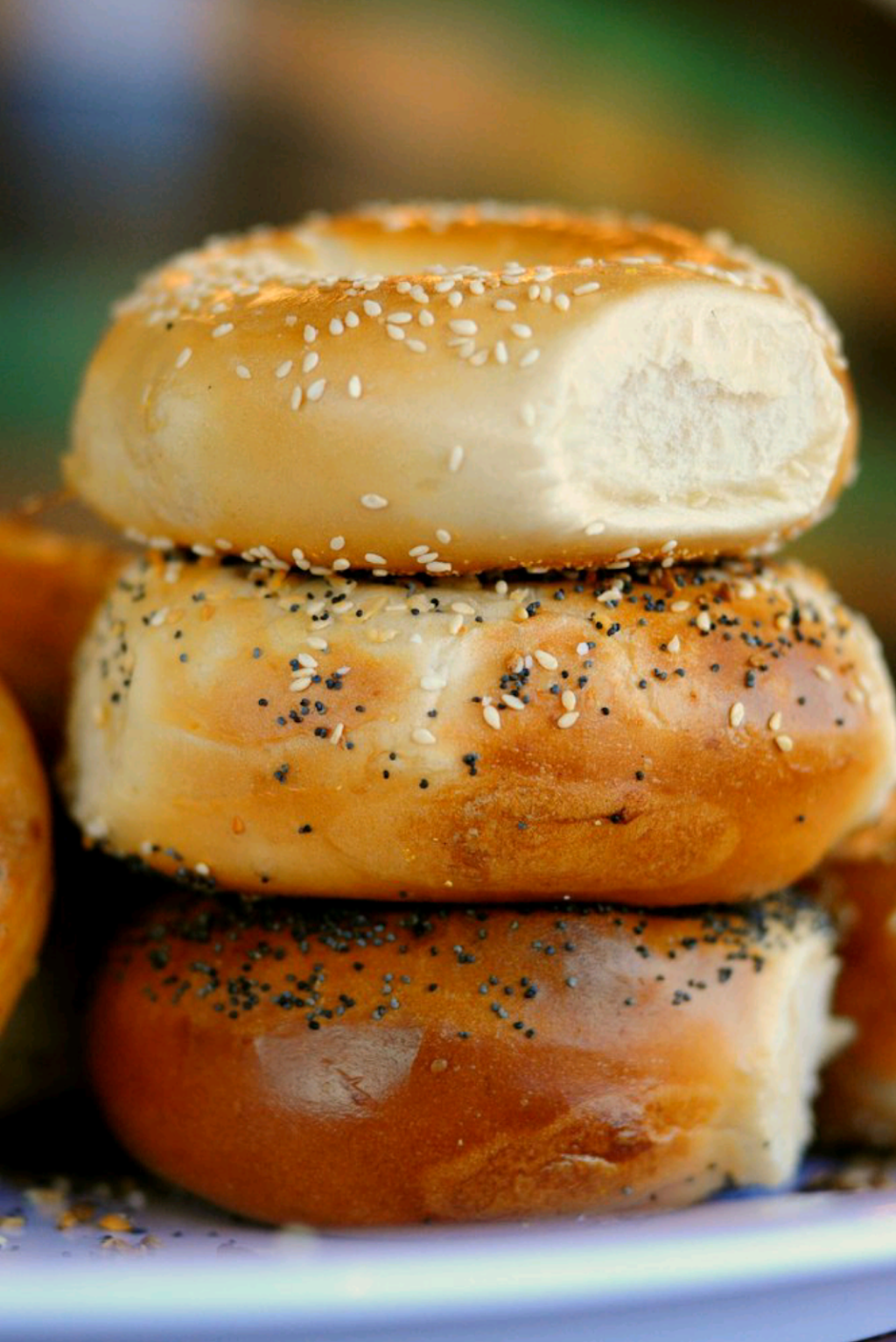 House of Bagels - Palo Alto | bakery | 2190 W Bayshore Rd, Palo Alto, CA 94303, USA | 6503225189 OR +1 650-322-5189