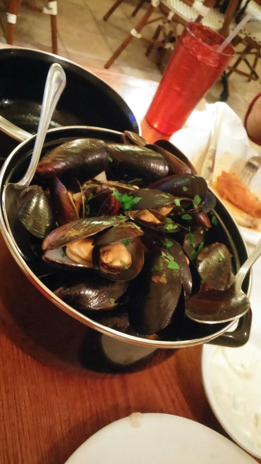 Amalfi | restaurant | 197 Forest Ave, Glen Cove, NY 11542, USA | 5168016544 OR +1 516-801-6544