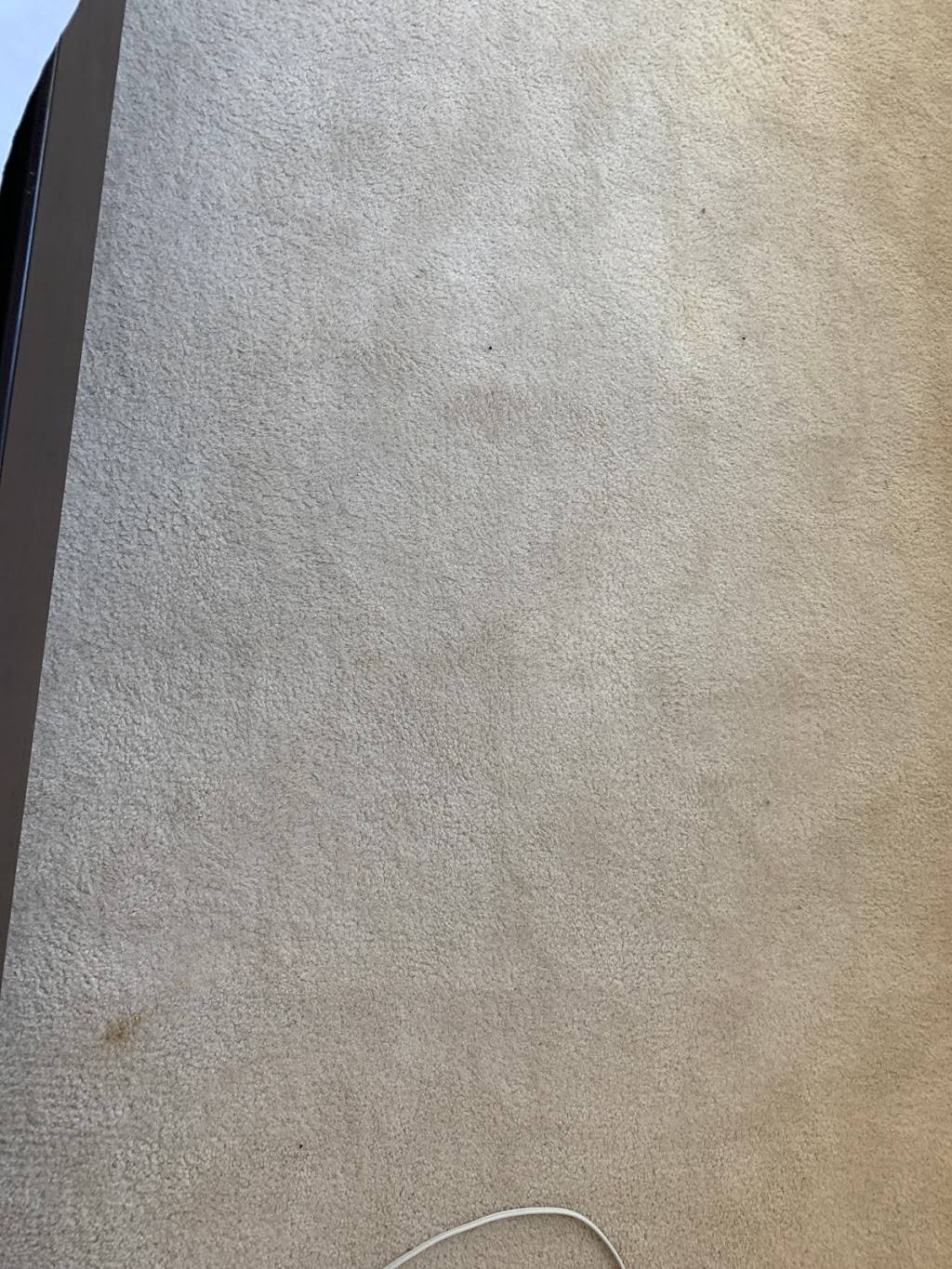 CUT! by Cinemark Cypress — Dine-in Theatre, Kitchen & Bar | restaurant | 29030 Northwest Fwy, Cypress, TX 77433, USA | 2812568744 OR +1 281-256-8744