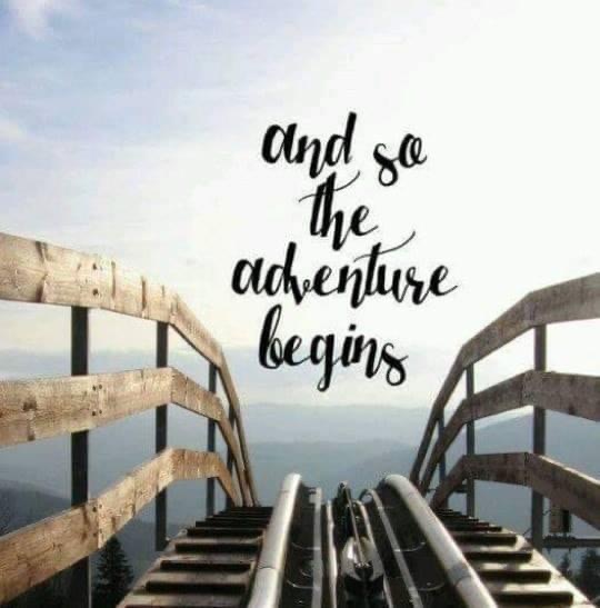 Validmarket.io | restaurant | 10100 Dream Tree Blvd, Lake Buena Vista, FL 32836, USA | 4078853580 OR +1 407-885-3580