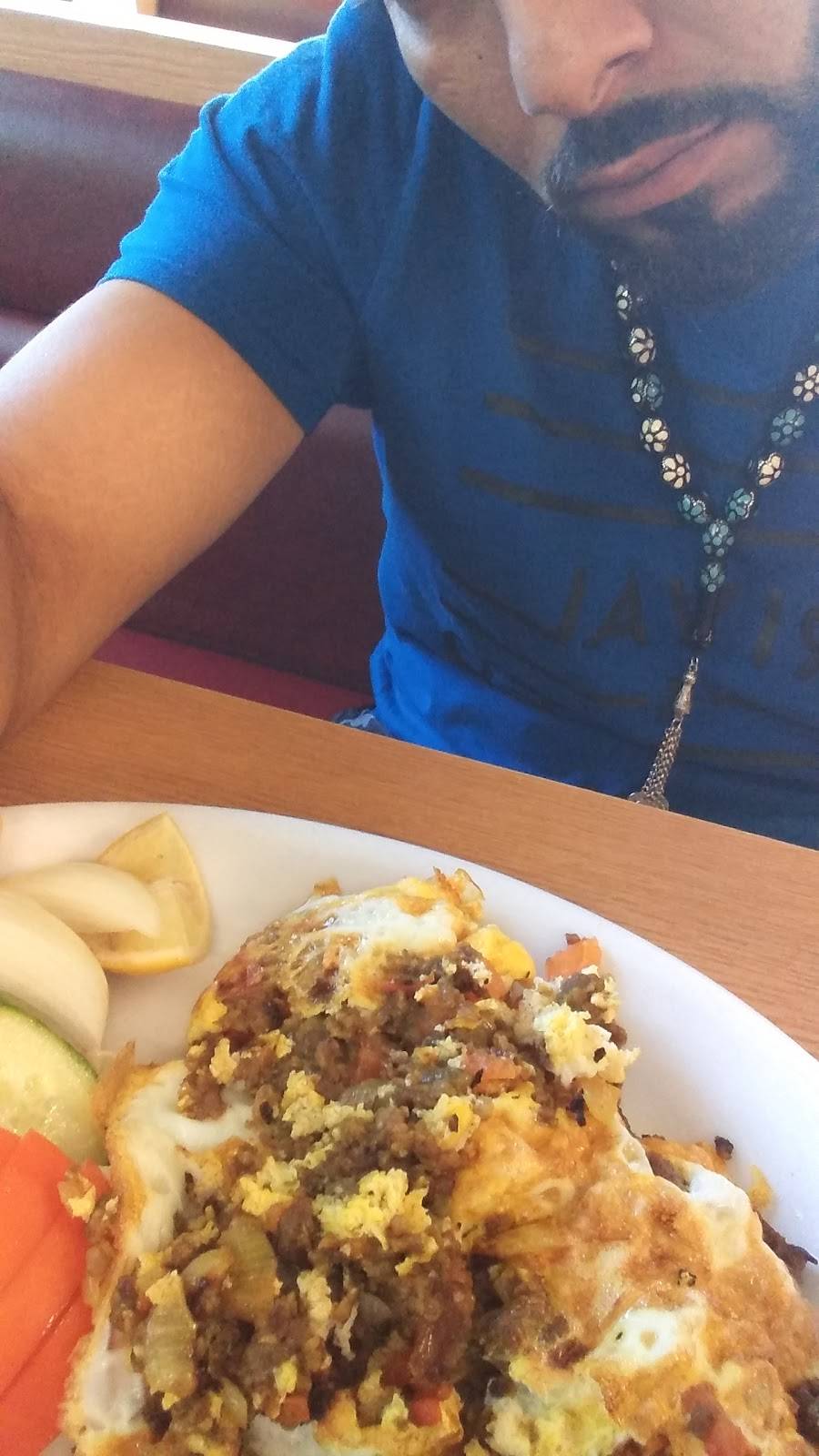 Rasedain Shish Kabob | restaurant | 16032 W Warren Ave, Detroit, MI 48228, USA | 3135811133 OR +1 313-581-1133