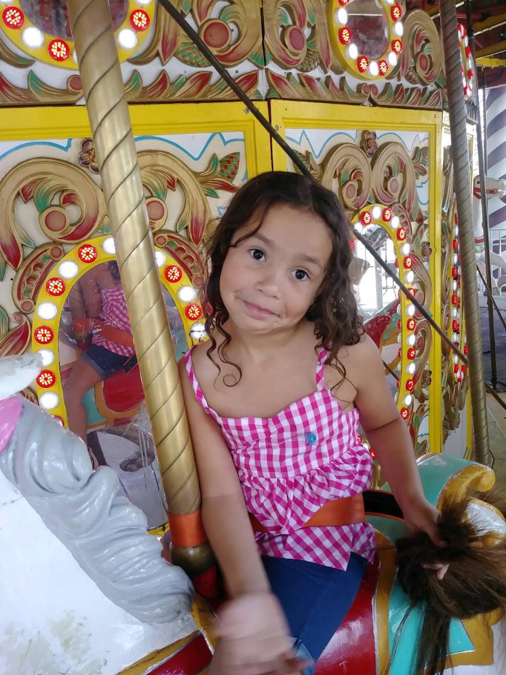 El Sazon de Las Americas #2 | restaurant | 440 Bergen Ave, Jersey City, NJ 07304, USA | 2013600083 OR +1 201-360-0083