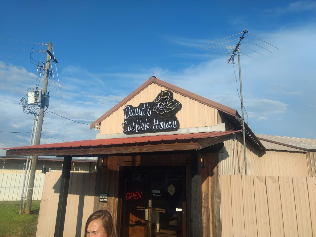 Davids Catfish House | restaurant | 10810 Hwy 31, Spanish Fort, AL 36527, USA | 2519301252 OR +1 251-930-1252