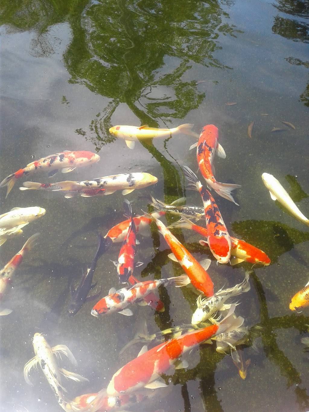 Monys Mexican Food | restaurant | 217 Anacapa St, Santa Barbara, CA 93101, USA | 8058952978 OR +1 805-895-2978