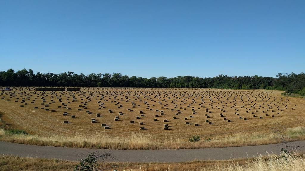 Starbucks | cafe | 525 Adobe Rd A, Red Bluff, CA 96080, USA | 5305290726 OR +1 530-529-0726