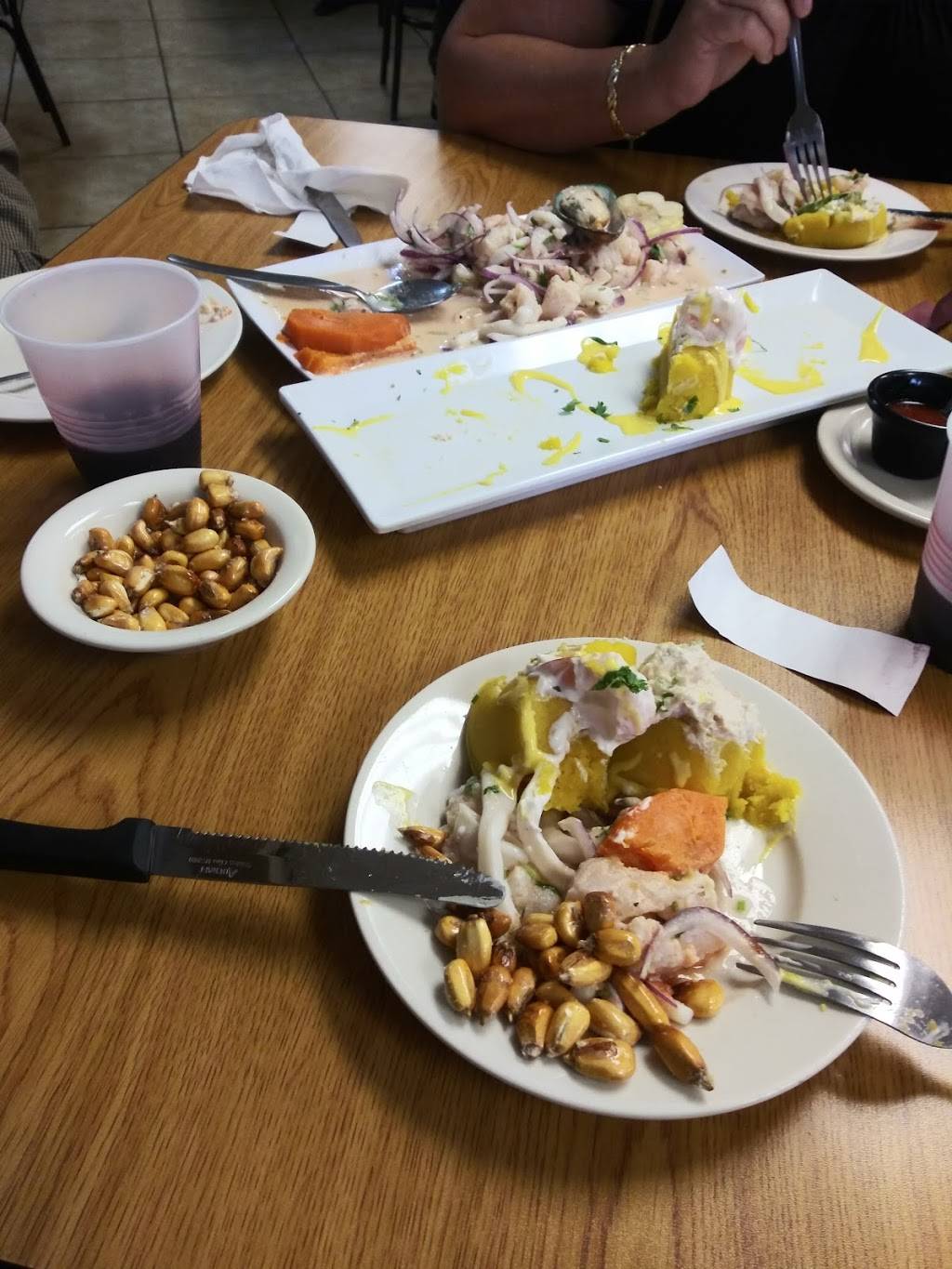 Dr Rocoto Peruvian Cuisine | restaurant | 3712 Davie Rd, Davie, FL 33314, USA | 7542237544 OR +1 754-223-7544