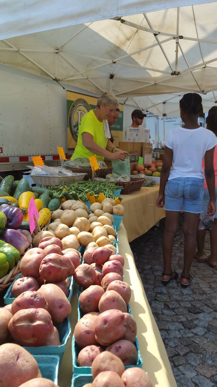 The Mermaid Inn | restaurant | 7673 Germantown Ave, Philadelphia, PA 19118, USA | 2152479797 OR +1 215-247-9797