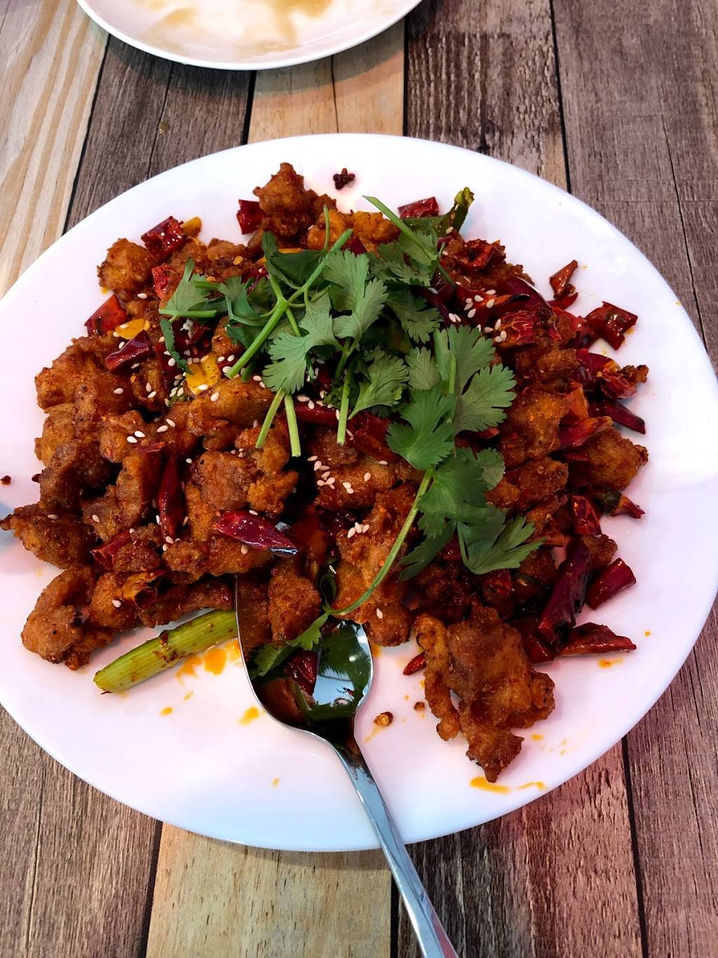 Bamboo Spice | restaurant | 8817 Hwy 6, Missouri City, TX 77459, USA | 2819155265 OR +1 281-915-5265