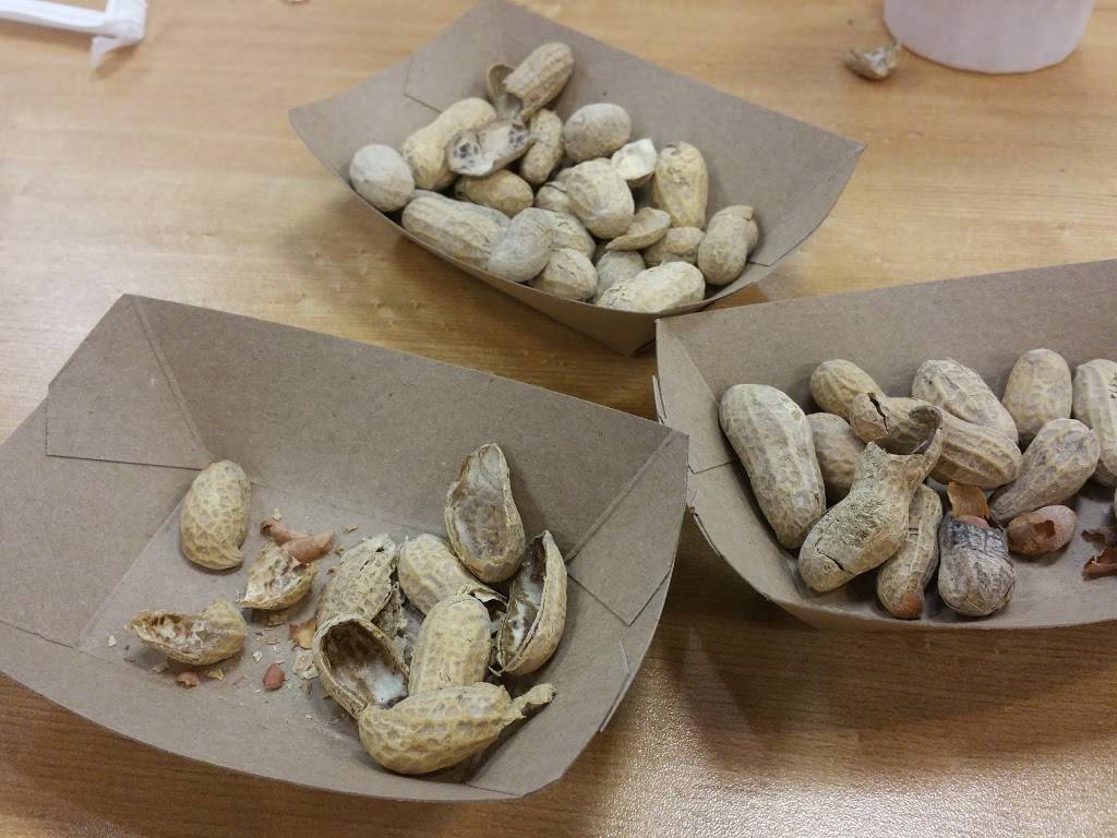 Five Guys | meal takeaway | 5122 Nesconset Hwy, Port Jefferson Station, NY 11776, USA | 6313310400 OR +1 631-331-0400