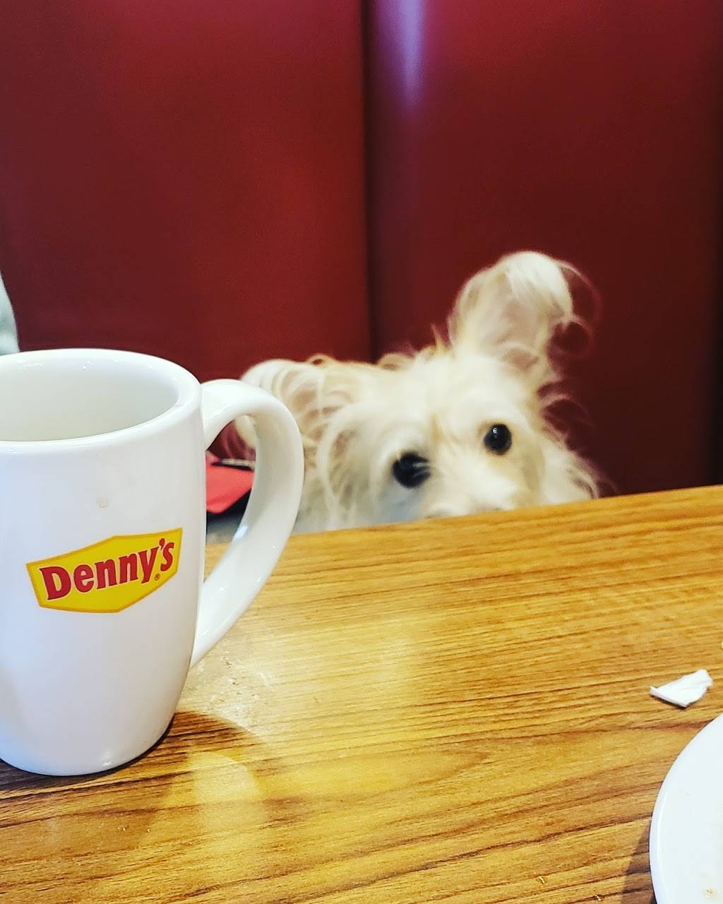 Dennys | restaurant | 4510 Fredericksburg Rd, San Antonio, TX 78201, USA | 2107321907 OR +1 210-732-1907