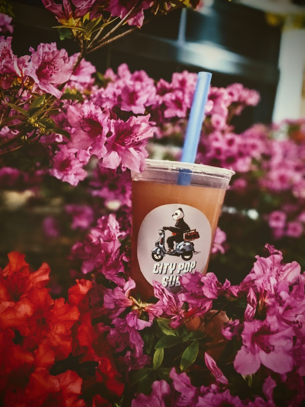 City Pop Sushi | restaurant | 1816 E 12th St, Cleveland, OH 44114, USA | 2164651114 OR +1 216-465-1114