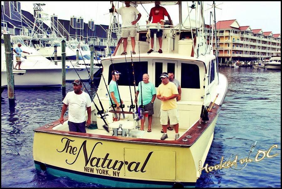 The Natural | restaurant | 533 Deale Rd, Deale, MD 20751, USA | 3017047231 OR +1 301-704-7231