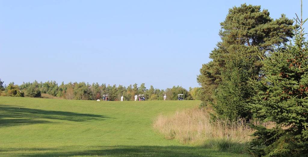 Homestead Resort Golf & Snowmobiling Resort |  | 263530 Southgate Township Road 26, Southgate, ON N0G 1R0, Canada | 5193693771 OR +1 519-369-3771