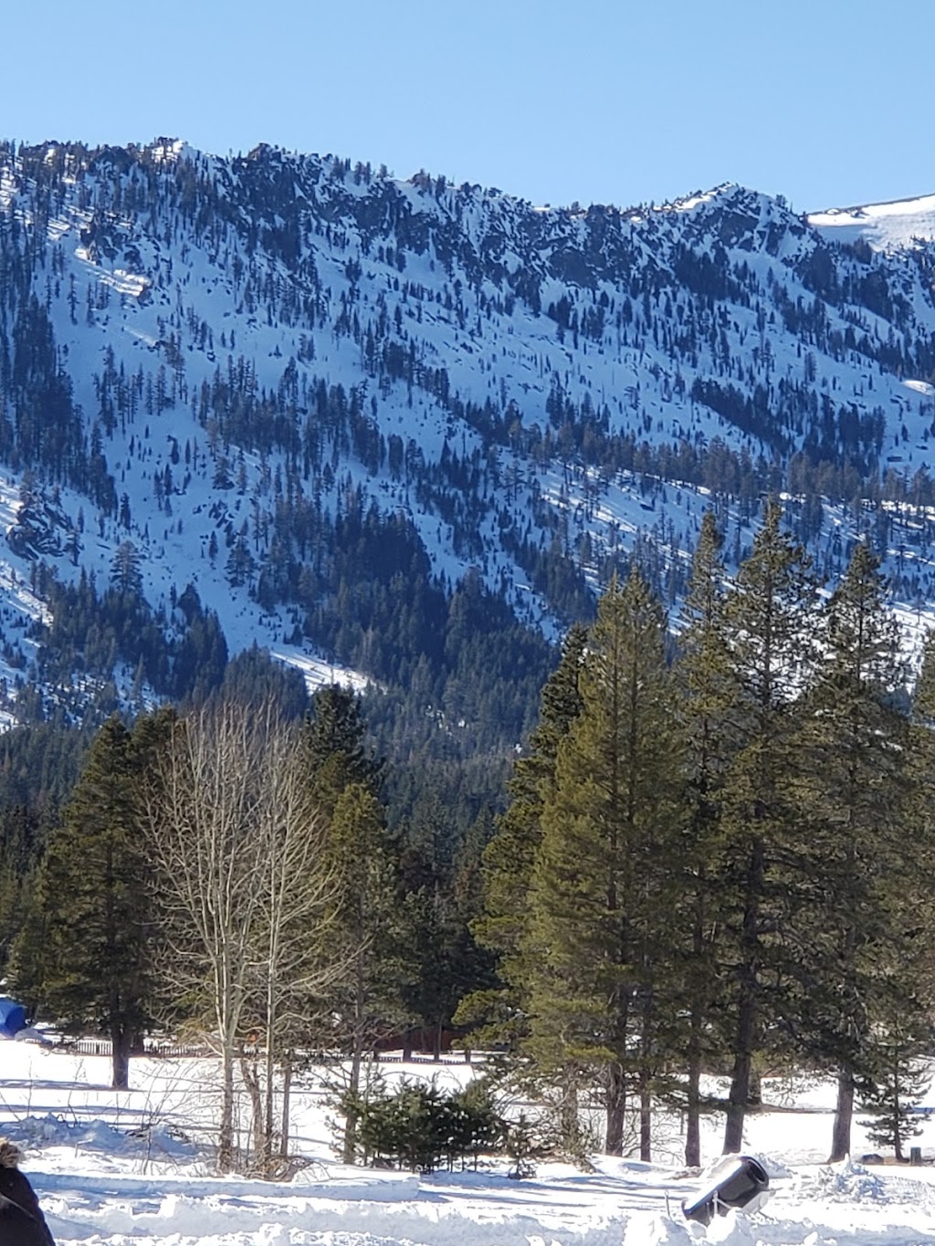 TubeTahoe | meal takeaway | 3021 US-50, South Lake Tahoe, CA 96150, USA | 5306002304 OR +1 530-600-2304