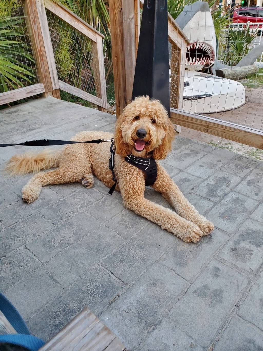 The Dinghy | restaurant | 8 J C Long Blvd, Isle of Palms, SC 29451, USA | 8432428310 OR +1 843-242-8310