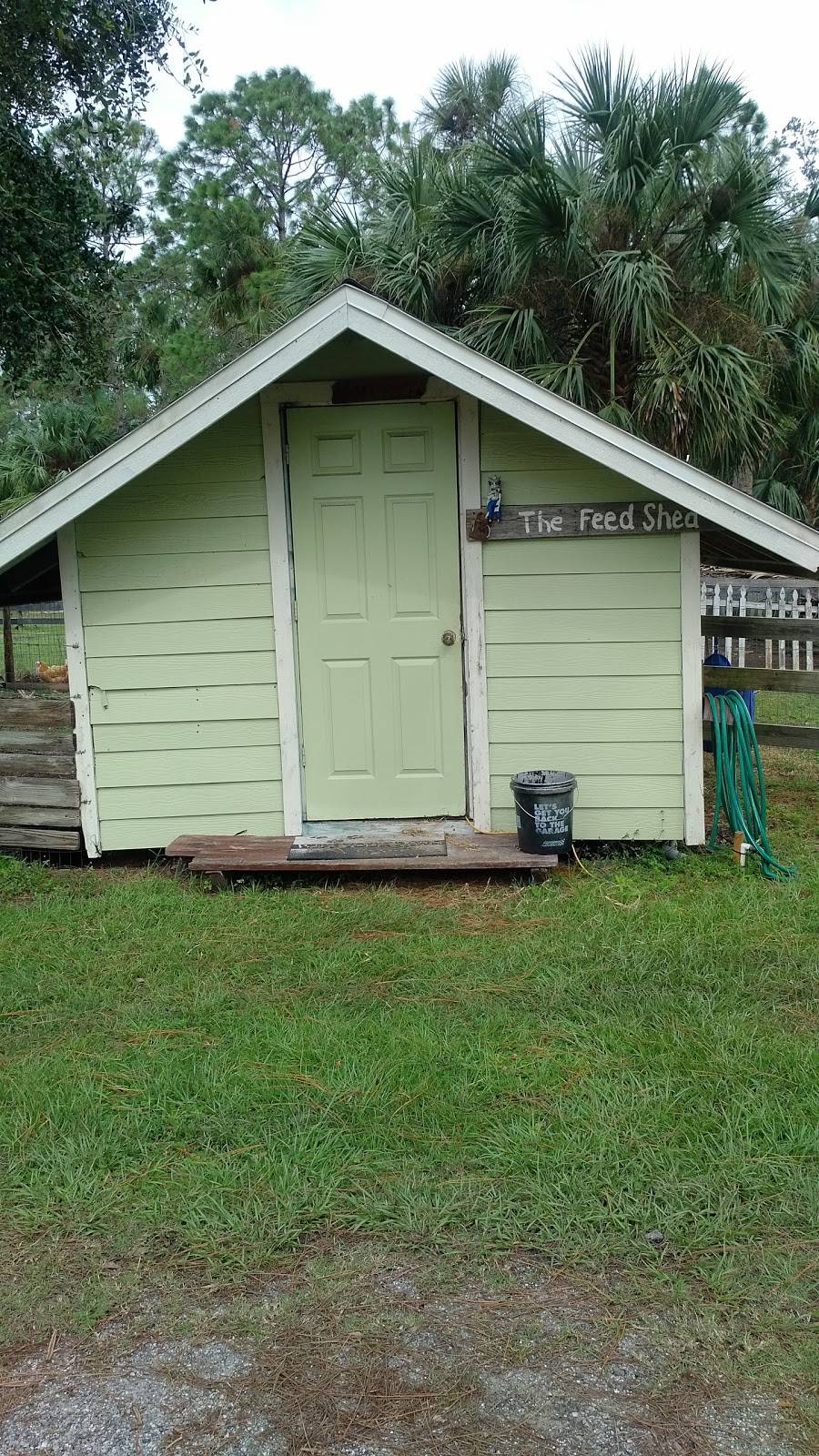 Fly In Breakfast | restaurant | 3000 W Osceola Rd, Geneva, FL 32732, USA | 4079475777 OR +1 407-947-5777