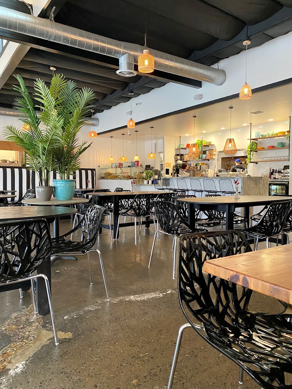 Doheny Cafe | restaurant | 34320 Pacific Coast Hwy H, Dana Point, CA 92629, USA | 9495031191 OR +1 949-503-1191