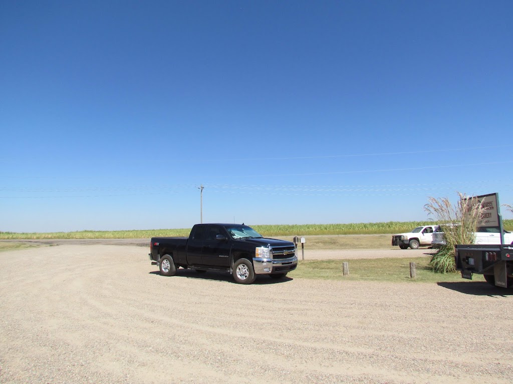 Wagon Wheel Cafe & Bakery LLC | cafe | 8551 US-160, Ulysses, KS 67880, USA | 6204241368 OR +1 620-424-1368