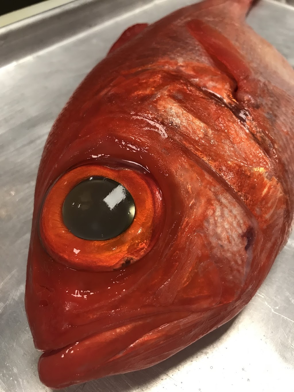 Ringo ~by Hemmi | restaurant | 1441 W Fullerton Ave, Chicago, IL 60614, USA | 7736978733 OR +1 773-697-8733