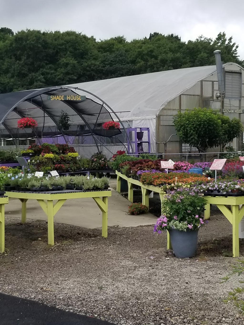 Farm 441 @ Thomas Orchards | restaurant | 6091 Macon Hwy, Bishop, GA 30621, USA | 7067695011 OR +1 706-769-5011