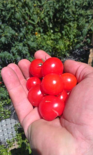 K & S Pizza & Restaurant | meal delivery | RI-91 & Route 112, Charlestown, RI 02813, USA | 4013640040 OR +1 401-364-0040