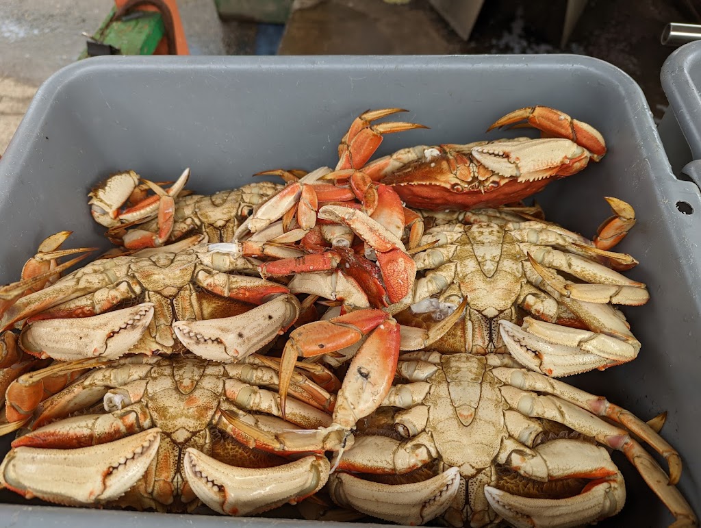 South Beach Fish Market | restaurant | 3640 S Coast Hwy, South Beach, OR 97366, USA | 5418676800 OR +1 541-867-6800