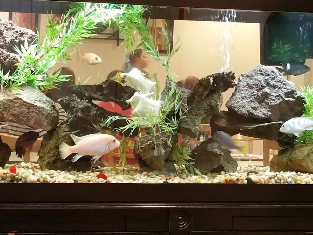 Wok On Wheels | restaurant | 55 E 1400 N Suite 110, Logan, UT 84341, USA | 4357537788 OR +1 435-753-7788