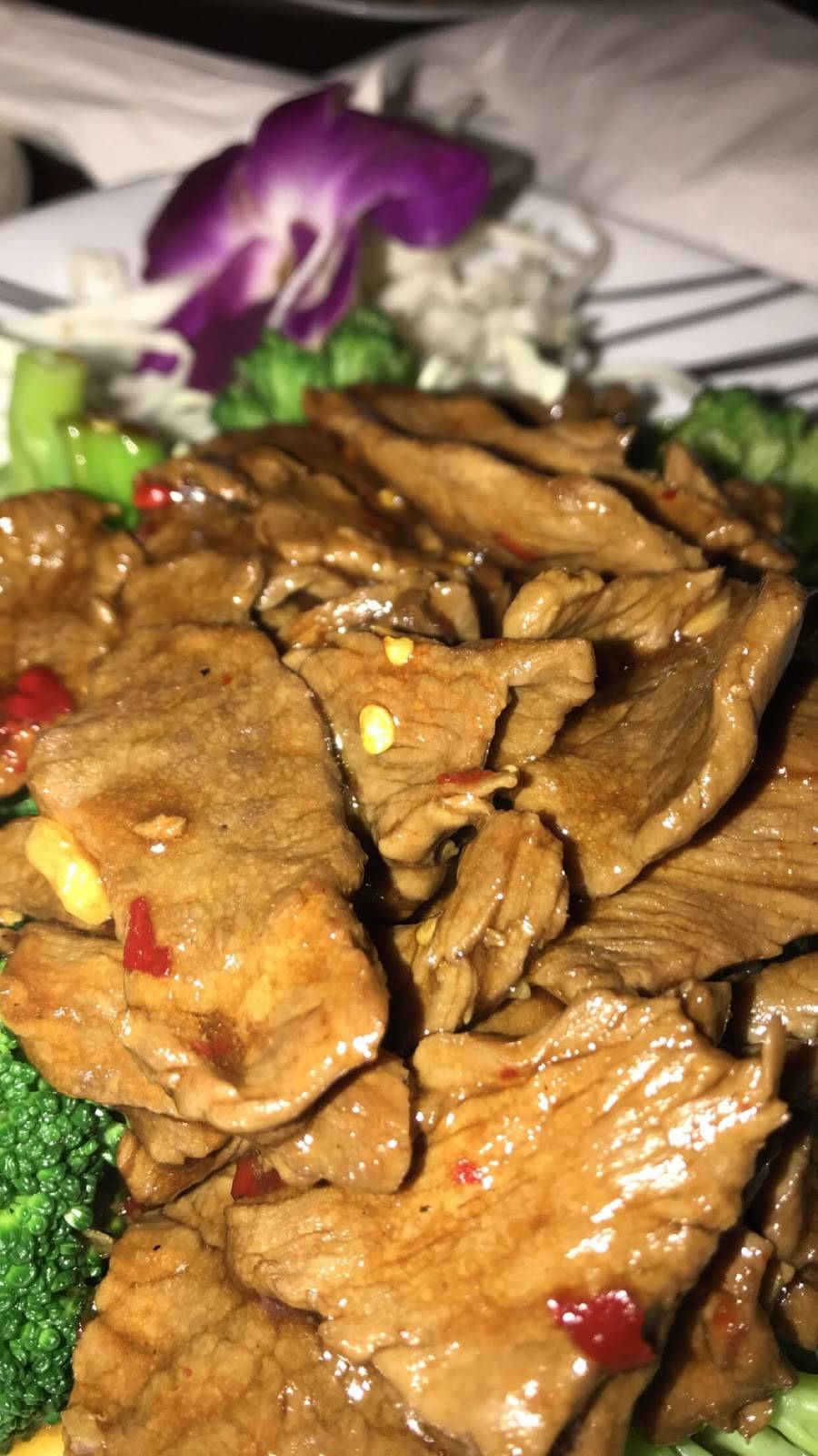 Thai Hut Restaurant | restaurant | 9902 Potranco Rd, San Antonio, TX 78251, USA | 2109512839 OR +1 210-951-2839