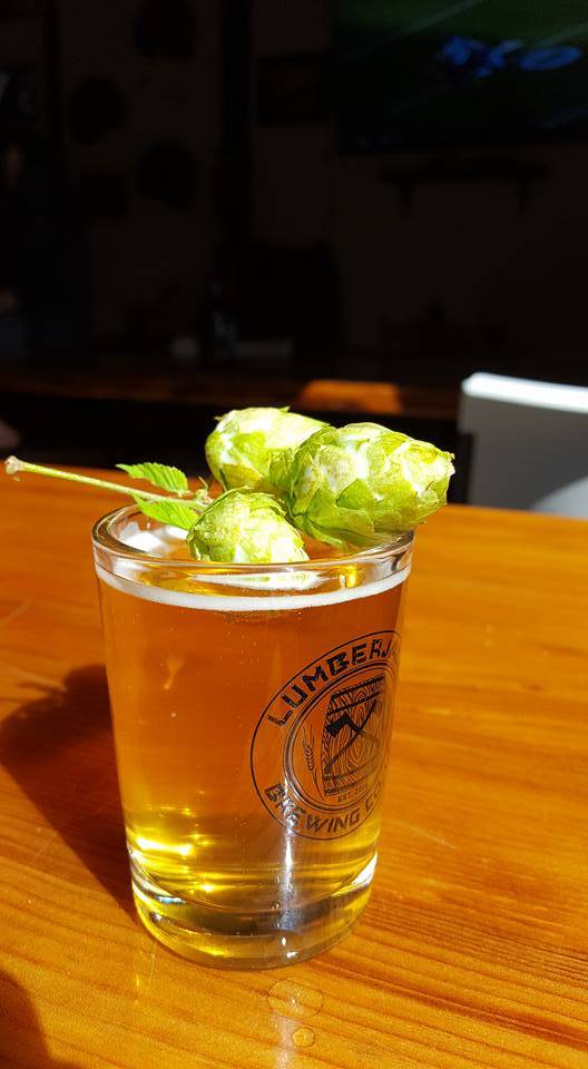 Lumber House Brewery | restaurant | 30741 3rd Ave #133, Black Diamond, WA 98010, USA | 4254320121 OR +1 425-432-0121