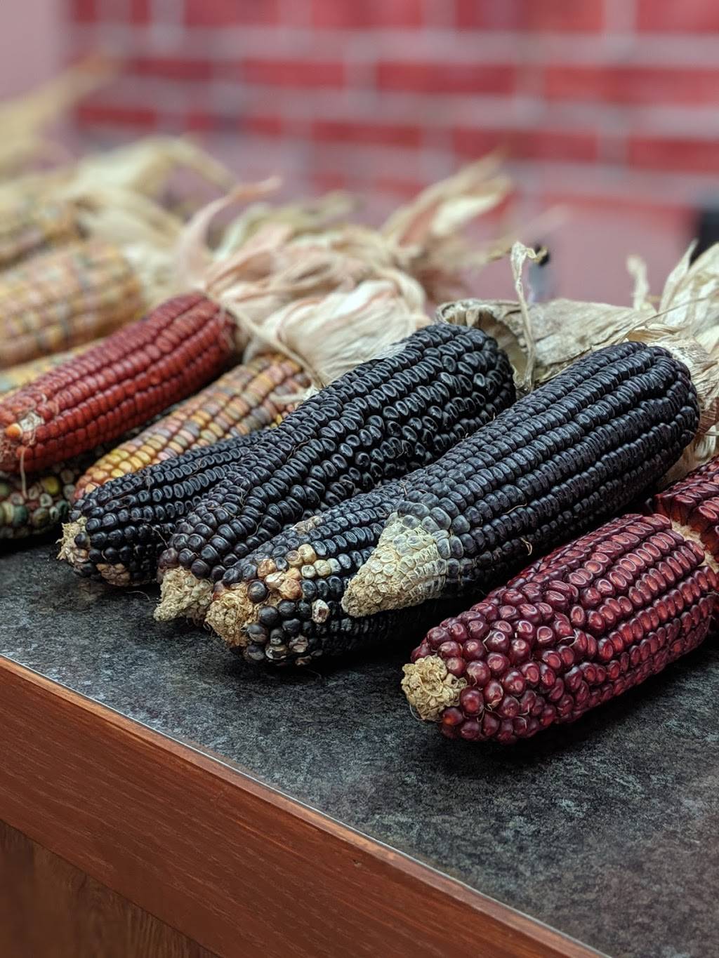 Palomas Grill | restaurant | 390 Springbank Dr, London, ON N6J 3H2, Canada | 5194881786 OR +1 519-488-1786